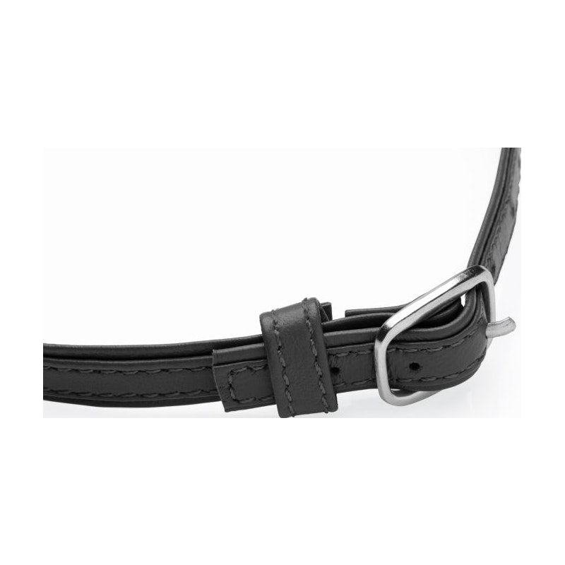 Sex Pet Leather Choker w Silver Ring Black - Vibrant Vibes Australia - Quality Sex Toys - Great Prices - Sex Toys Australia